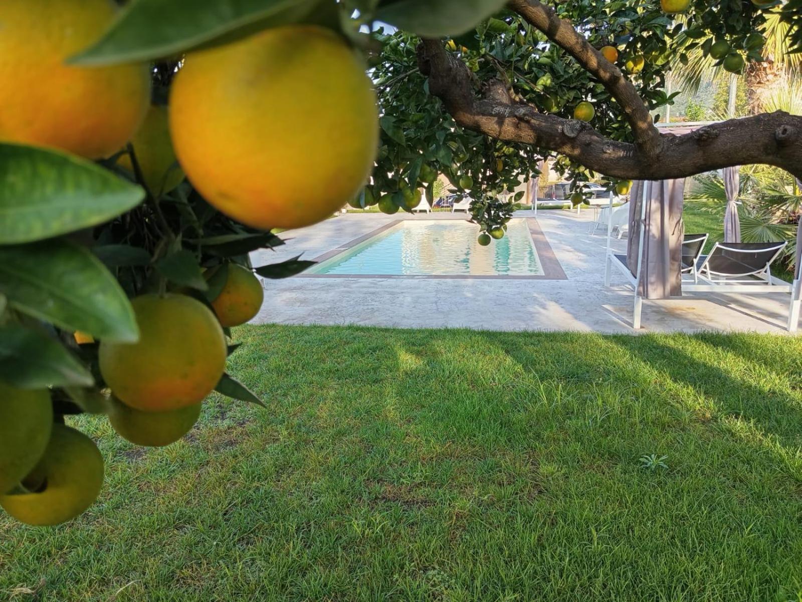 B&B Villa Limao Sarno Zewnętrze zdjęcie